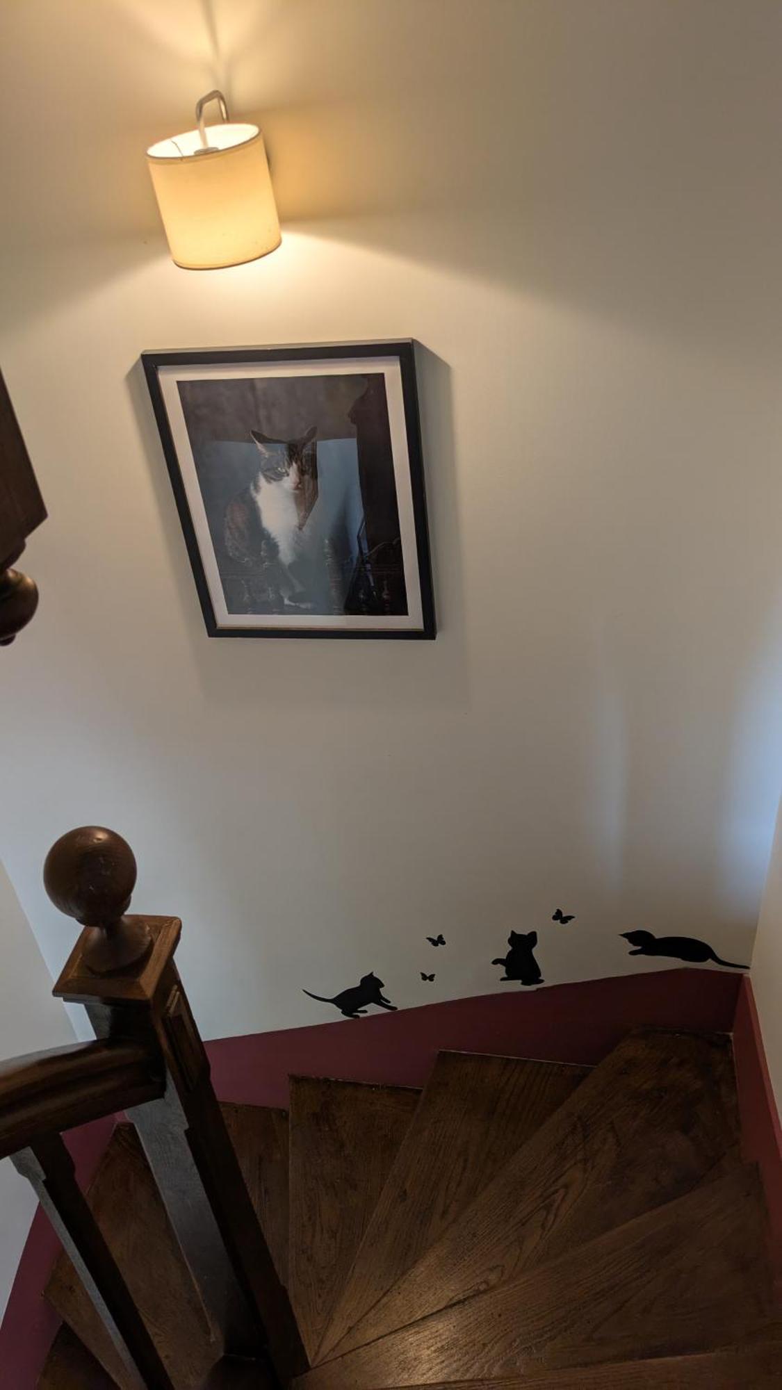 La Maison D'A Cote Saint-Amand-en-Puisaye 외부 사진